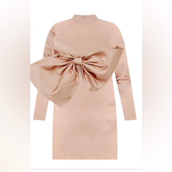 Gently Worn Pink Size 14 Eloquii Dress